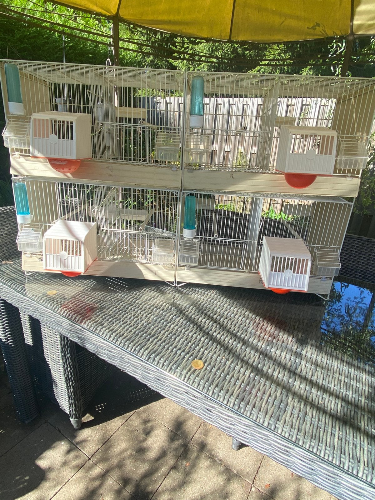 4 x domus molinari kooien, Ophalen, Gebruikt, Kunststof, Vogelkooi