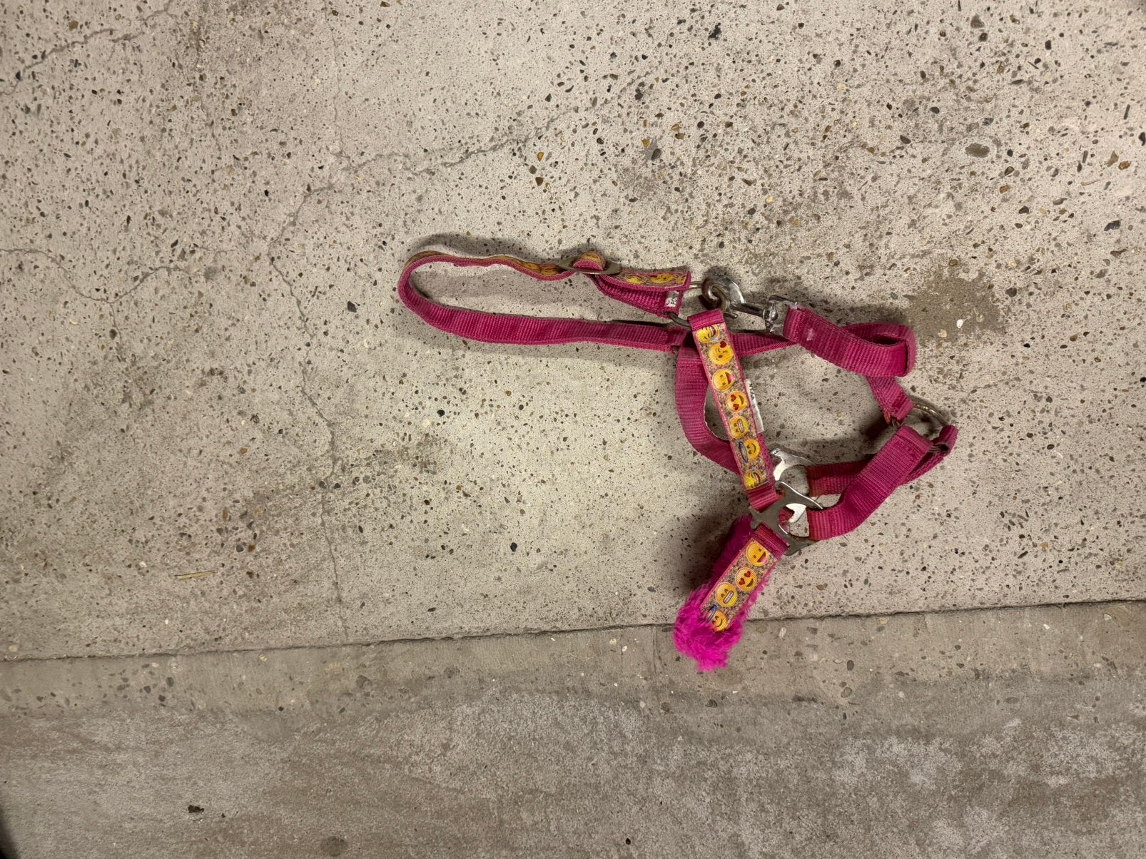 Roze smiley halster met bondje, Ophalen of Verzenden, Zo goed als nieuw