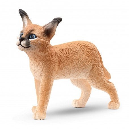 Schleich 14868 caracal, dierfiguur, Verzamelen, Ophalen of Verzenden, Zo goed als nieuw, Overige soorten, Beeldje of Figuurtje