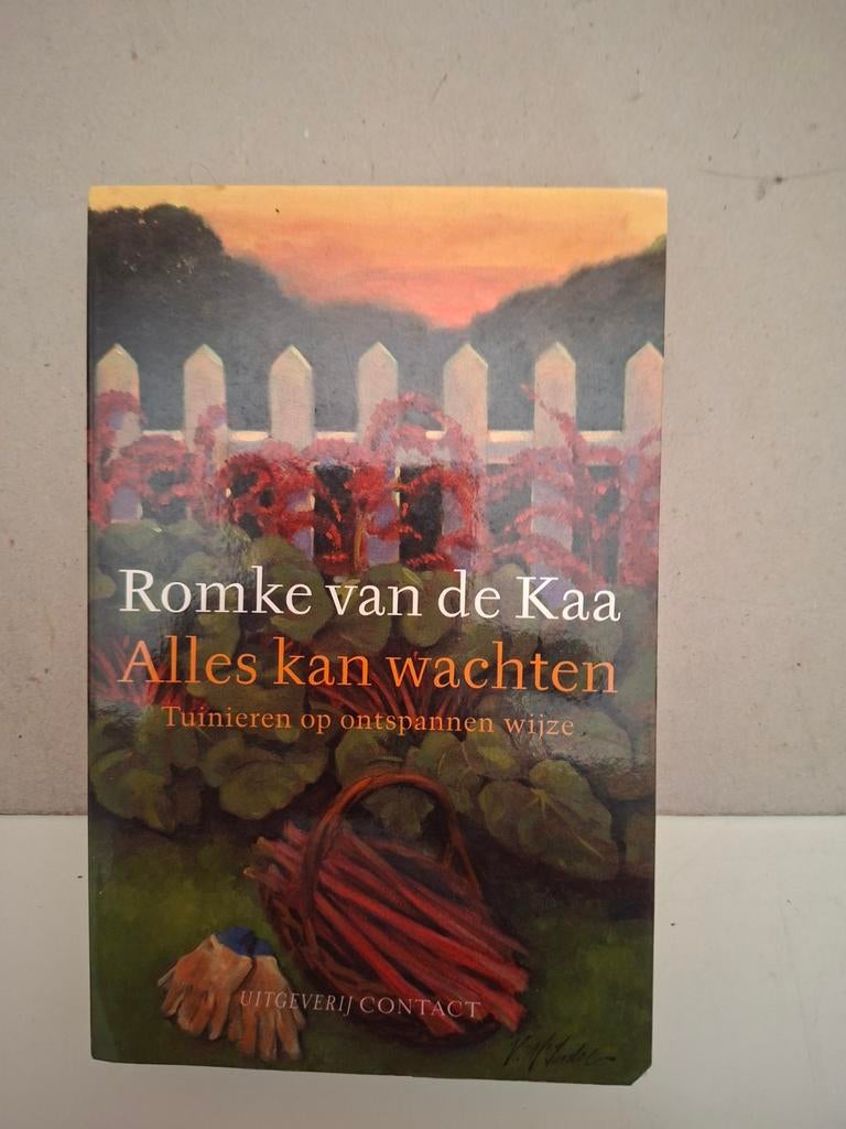 Romke van de Kaa - Alles kan wachten, Verzenden, Zo goed als nieuw, Interieur en Design, Romke van de Kaa