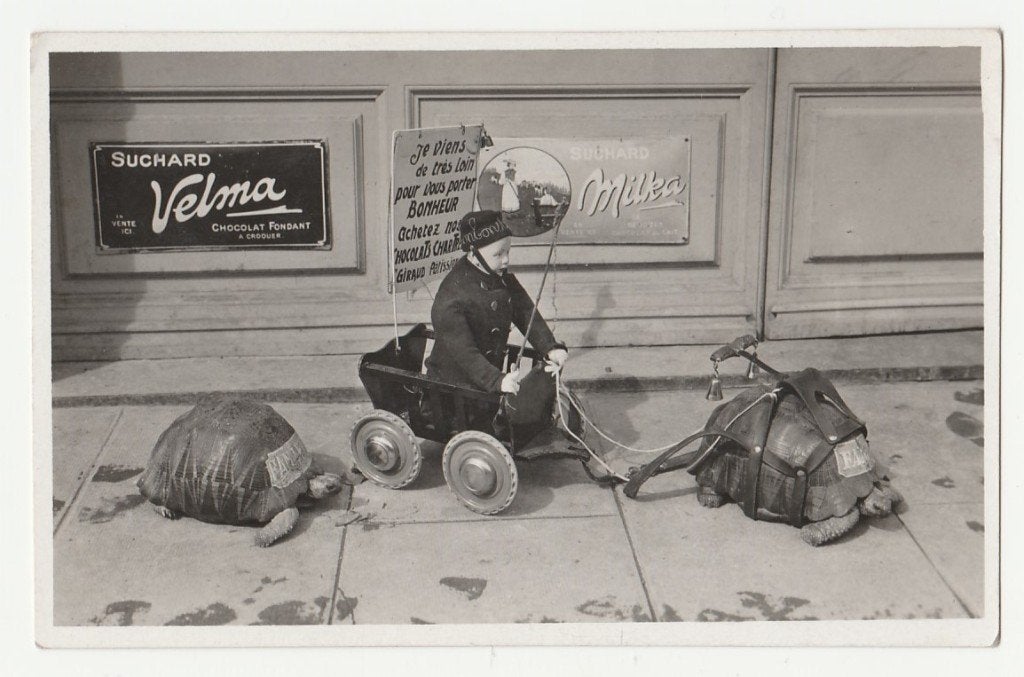 Schildpad voor karretje.  Emaillen reclameborden., Verzamelen, Verzenden, Voor 1920, Ongelopen, Overige thema's