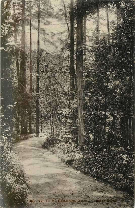 380-132-043 Assen Asser Bosch, Verzamelen, Ansichtkaarten | Nederland, Verzenden, Voor 1920, Drenthe