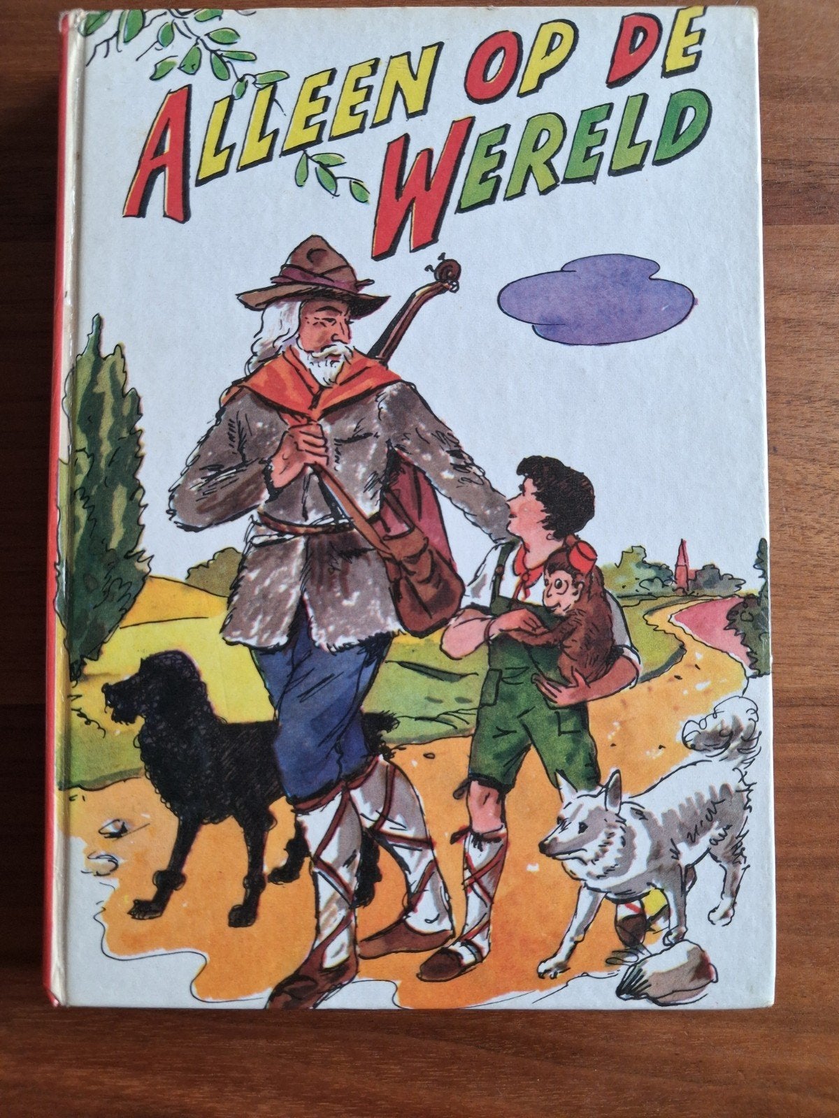 Alleen op de Wereld - Hector Malot (Jongland), Boeken, Ophalen of Verzenden, Gelezen, Fictie algemeen