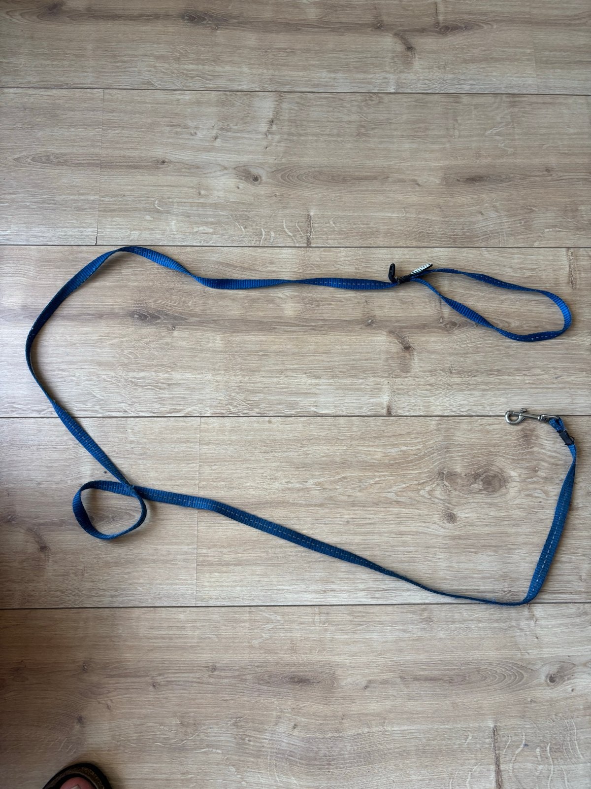 Hondenriem voor puppy, Ophalen, Zo goed als nieuw, Hondenriem