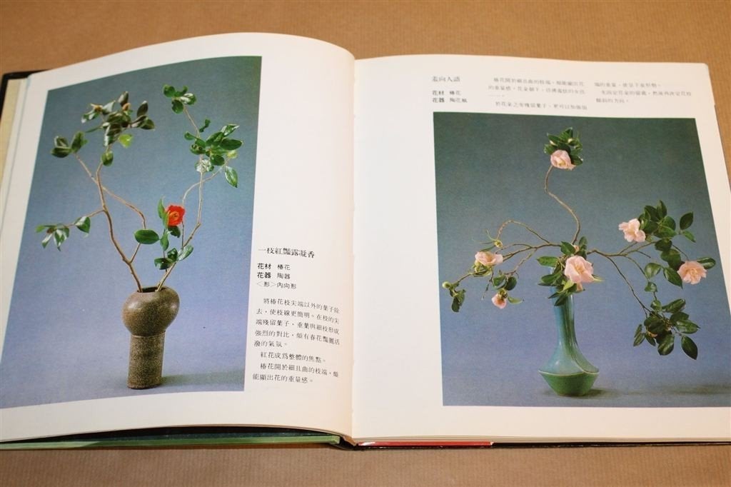 Chinees Boek over Ikebana — Vol met Foto\'s, Ophalen of Verzenden, Gelezen, Overige onderwerpen