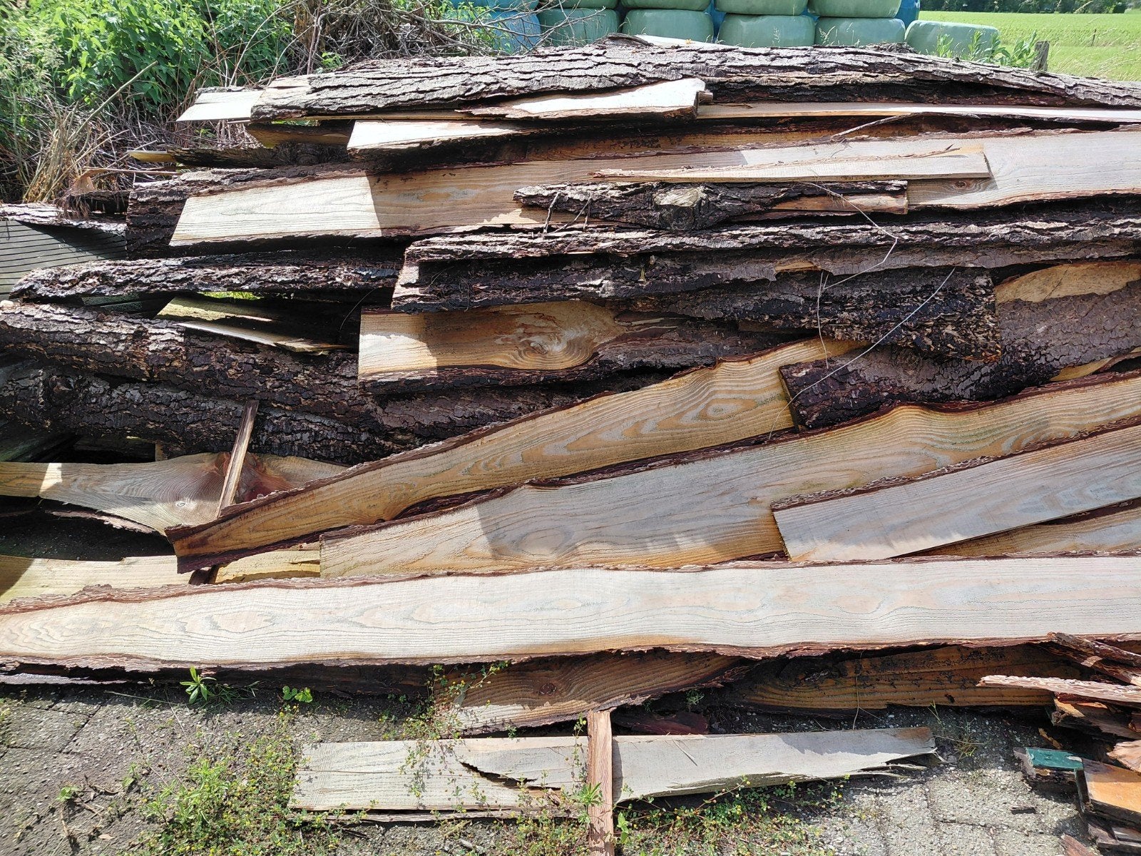 Douglas schaaldelen, Ophalen, Nieuw, 250 cm of meer, Planken