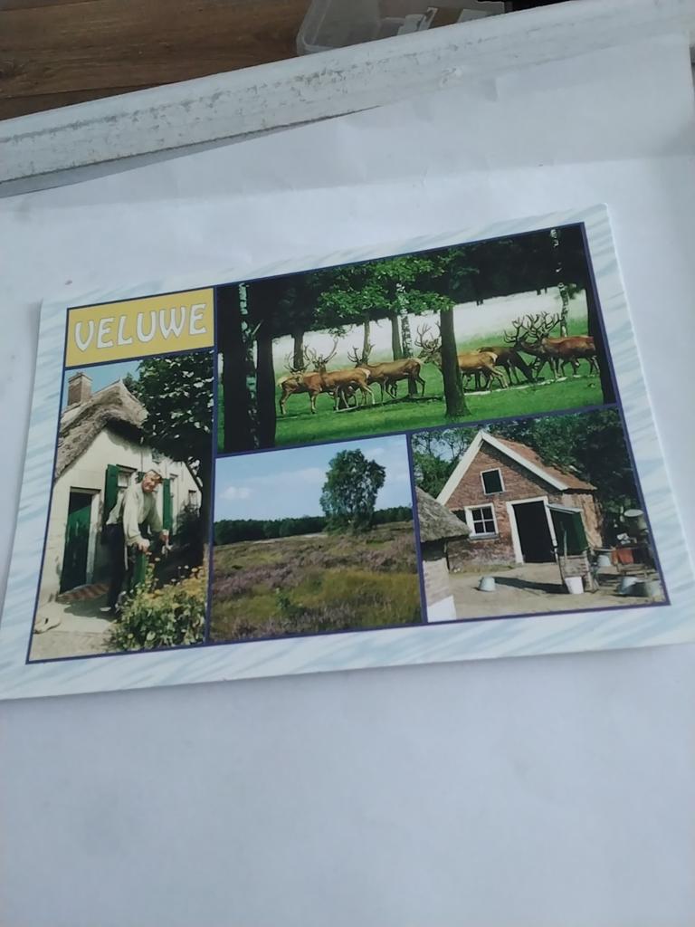 VELUWE. 4 AFBEELDINGEN, Ophalen of Verzenden