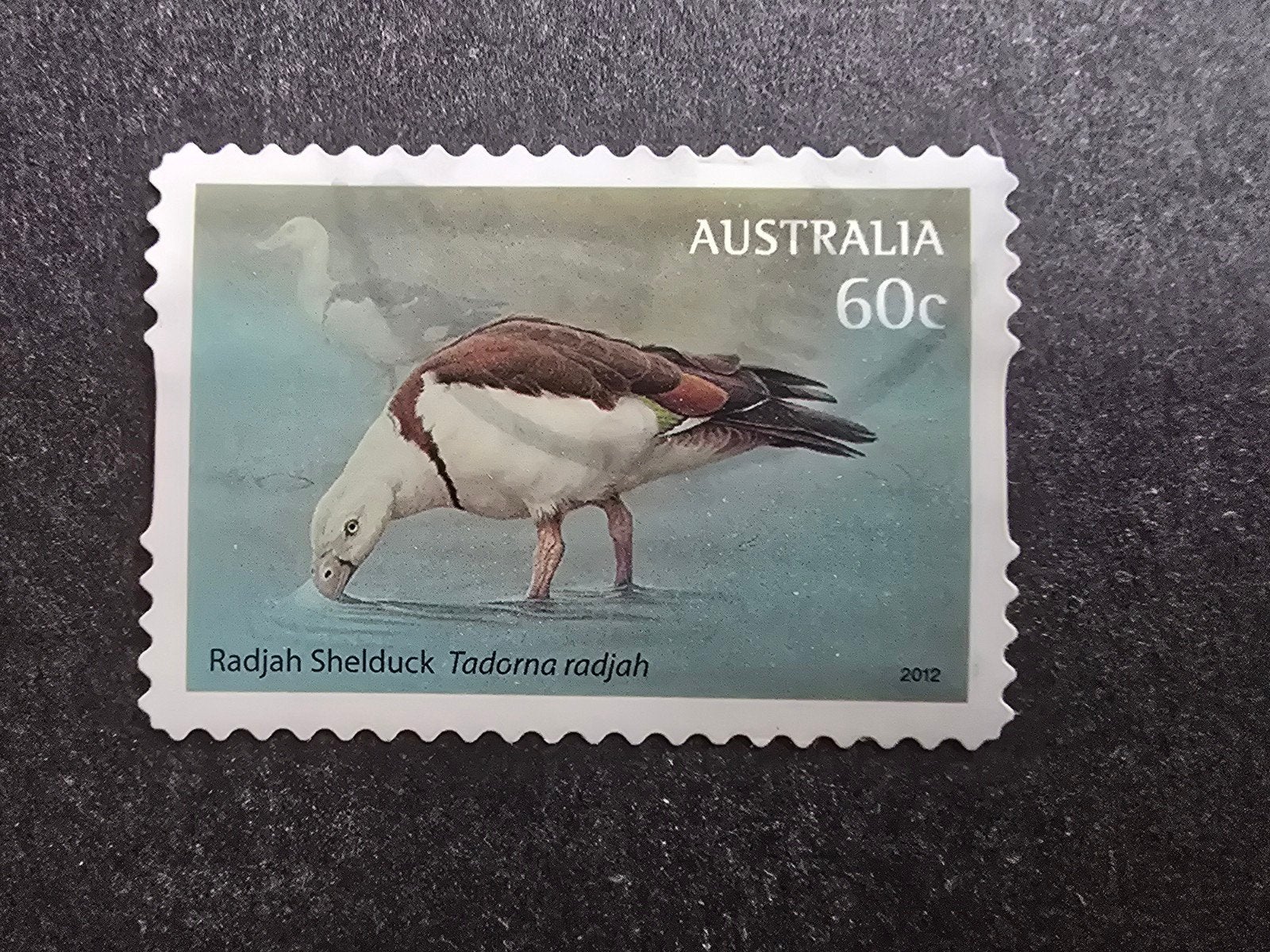 Postzegel Australië 2012 Michel 3708, Ophalen of Verzenden, Gestempeld