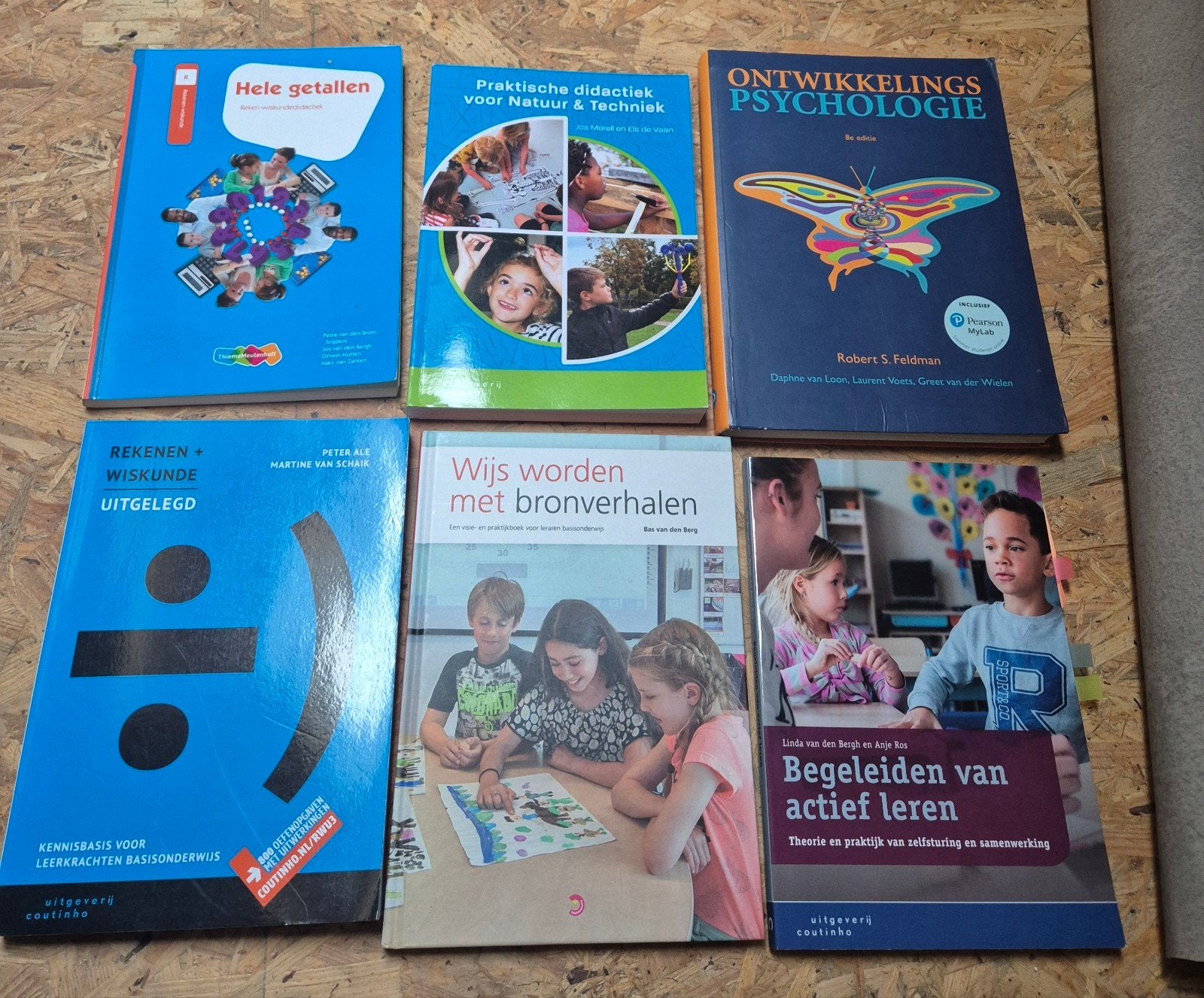 Boeken pabo, Boeken, Ophalen of Verzenden, Zo goed als nieuw, Overige niveaus, Nederlands
