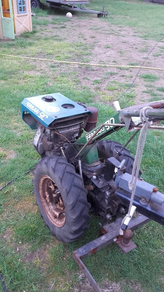 tuinfrees ferrari, Tuin en Terras, Ophalen, Gebruikt