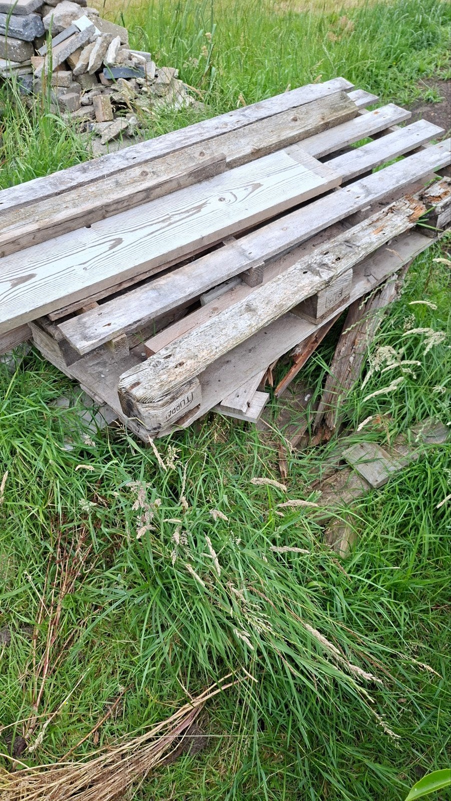 Gratis stapel brandhout af te halen, Minder dan 3 m³, Ophalen, Overige houtsoorten, Blokken