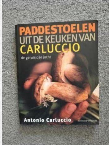 Paddenstoelen uit de keuken van Carluccio, Italië, Ophalen of Verzenden, Zo goed als nieuw, Antonio Carluccio