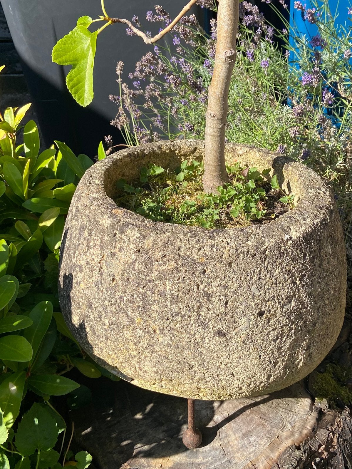 Ronde trog/bak, Tuin en Terras, Ophalen, Gebruikt, Beton, Overige typen