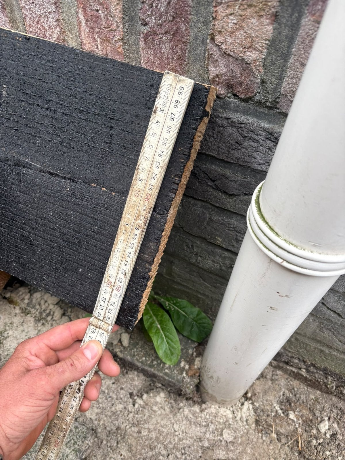 Douglas Houten Boeideel - 6 Meter Balk, Doe-het-zelf en Verbouw, Ophalen, 25 tot 50 mm, Nieuw, 300 cm of meer
