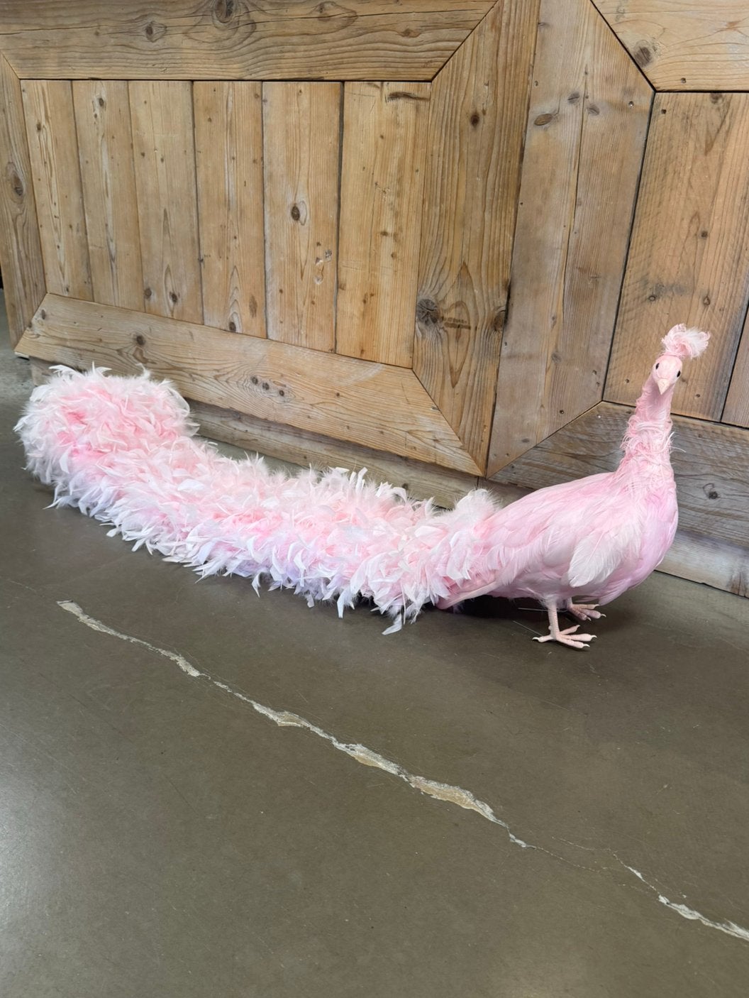 Roze pauw, decoratie, winkel, etalage, Ophalen of Verzenden, Zo goed als nieuw