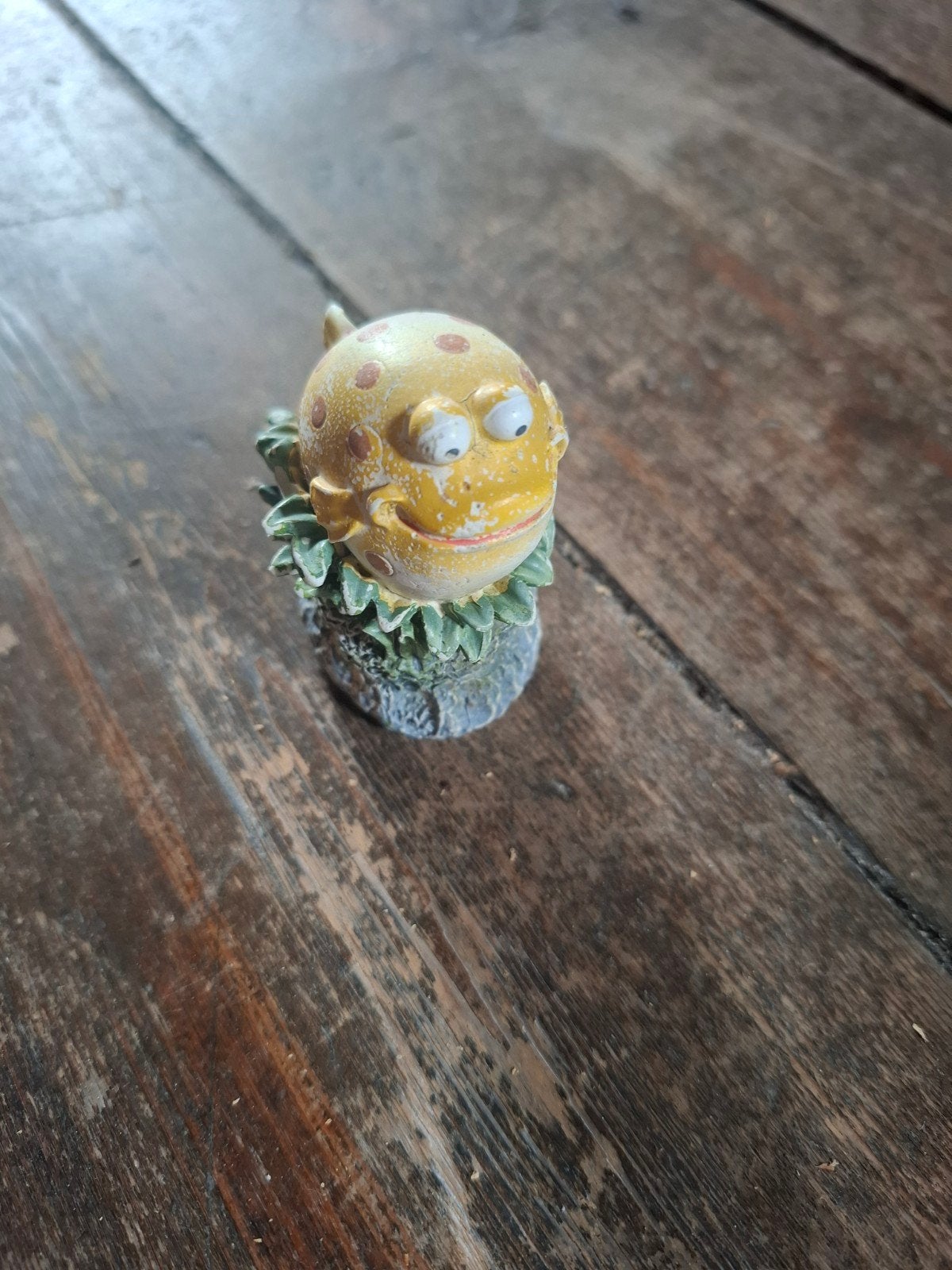 Aquarium decoratie, Dieren en Toebehoren, Ophalen