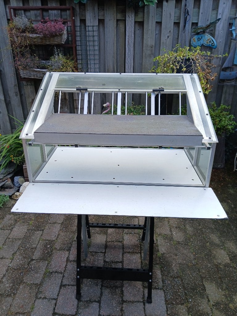 Habru spoetnik, Dieren en Toebehoren, Geslacht onbekend, Postduif