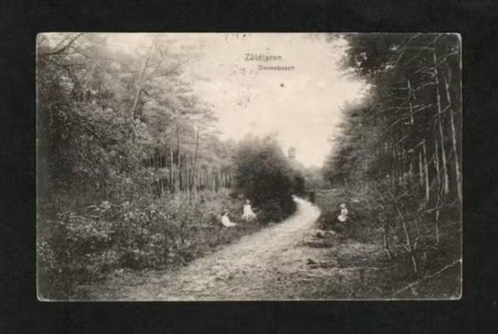 Zuidlaren Dennebosch Kinderen 1912., Verzamelen, Ansichtkaarten | Nederland, Ophalen of Verzenden, Voor 1920, Gelopen, Drenthe