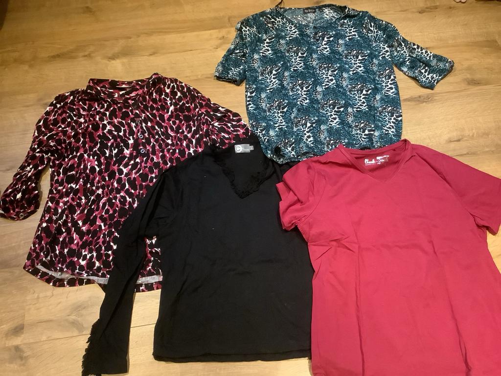 4 Dames shirts/blouses maat L, Ophalen of Verzenden, Zo goed als nieuw, Maat 42/44 (L)