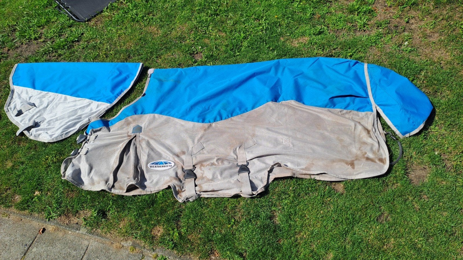 Weatherbeeta comfitec regen / vliegendeken maat 140/190, Dieren en Toebehoren, Paarden en Pony's | Dekens en Dekjes, Meerkleurig