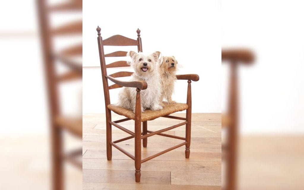 Hollandse eiken ladderback armstoel biezen - jaren 50, Huis en Inrichting, Gebruikt, Minder dan 75 cm, 50 tot 75 cm, Hout
