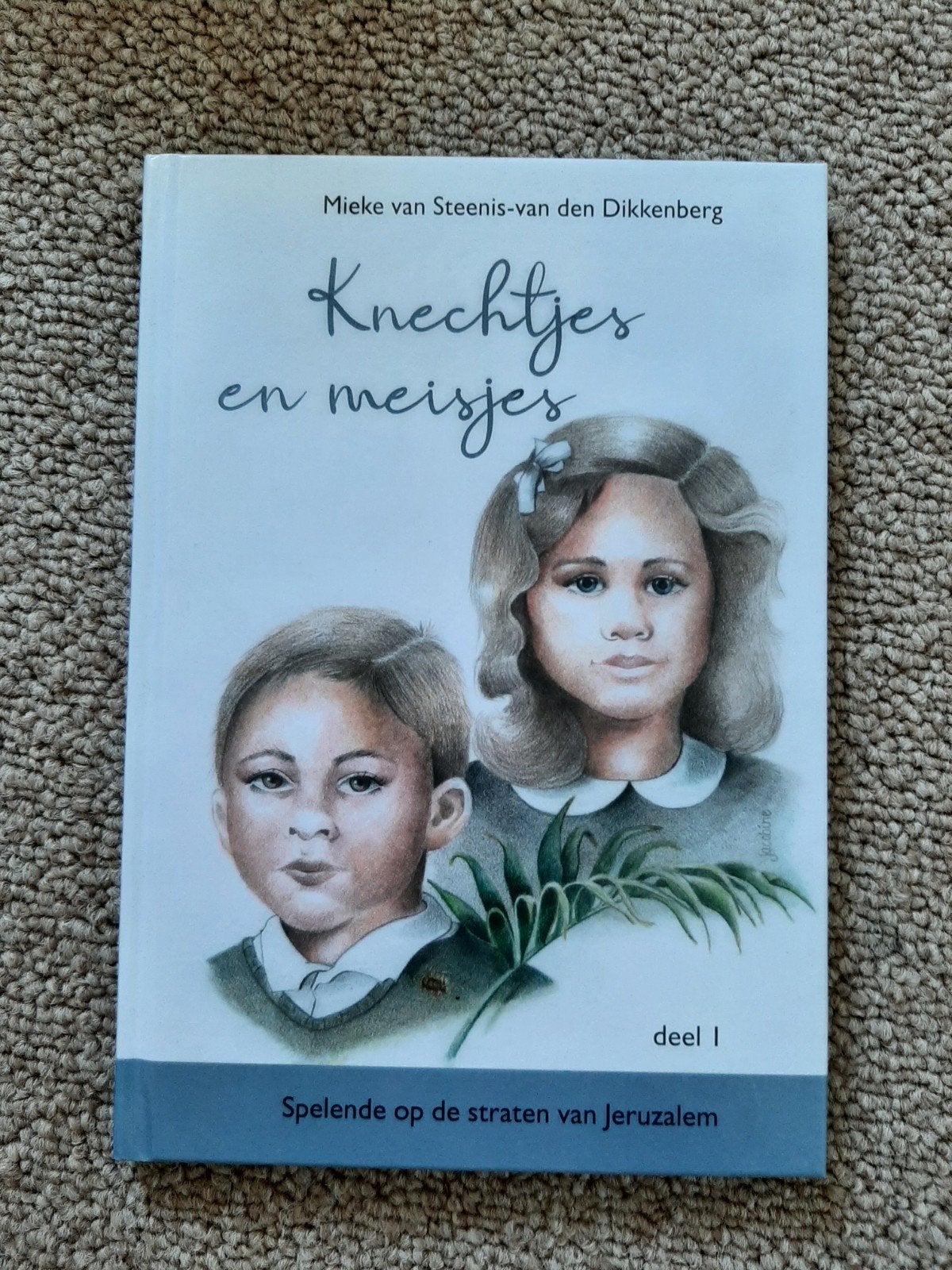 Knechtjes en meisjes deel I Mieke van Steenis-van den Dikke, Ophalen of Verzenden, Gelezen, Mieke van Steenis-van den Dikkenberg