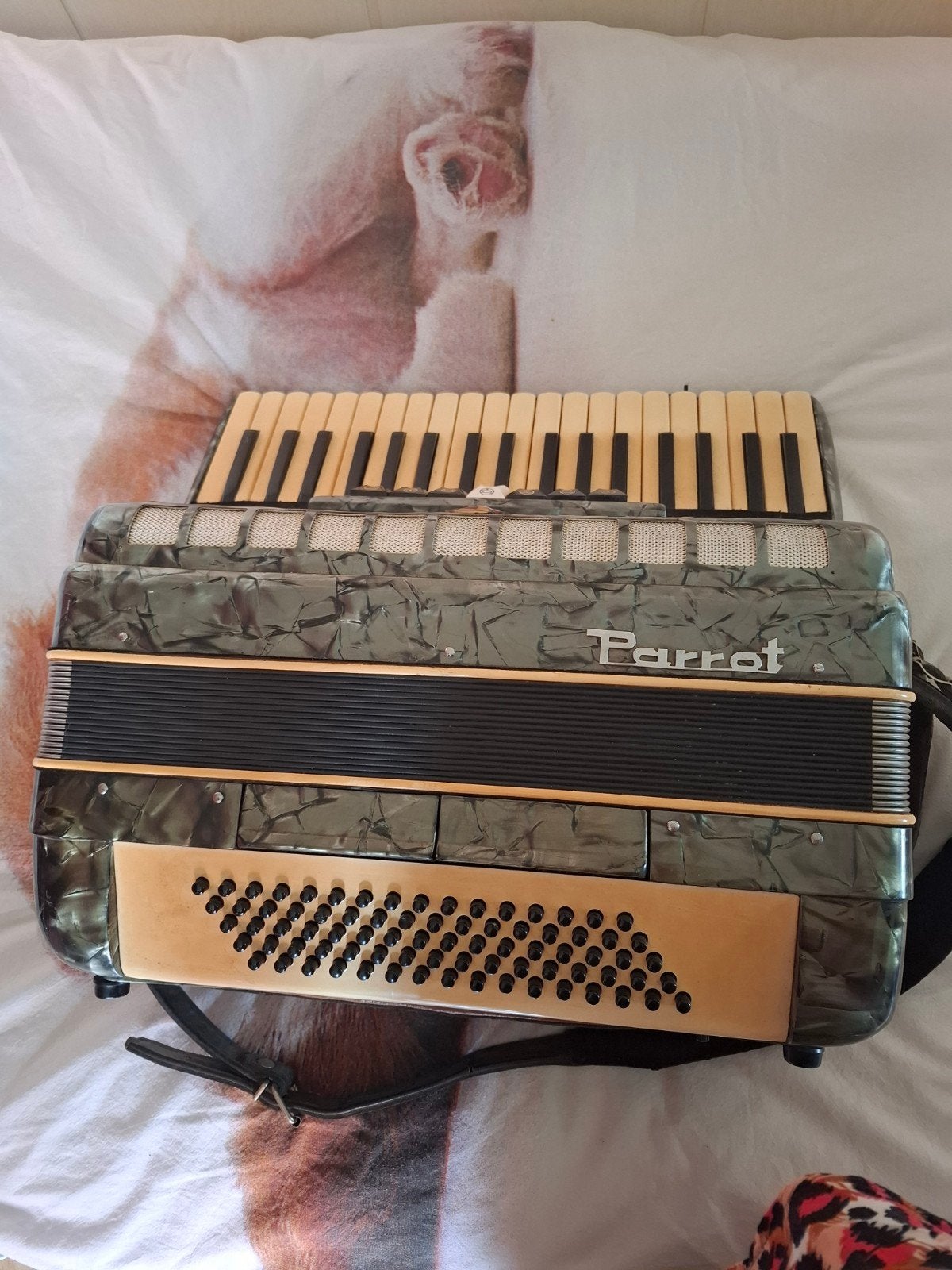 Prachtige Parrot Accordeon - Zo goed als nieuw, Overige merken, Overige formaten, Met koffer, Zo goed als nieuw