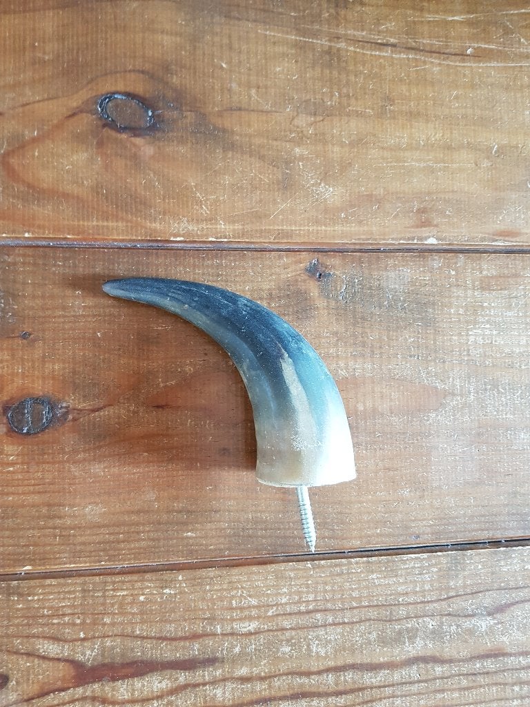 Koeienhoorn, te gebruiken als kapstok, Wandkapstok, Overige materialen, Gebruikt, Ophalen of Verzenden