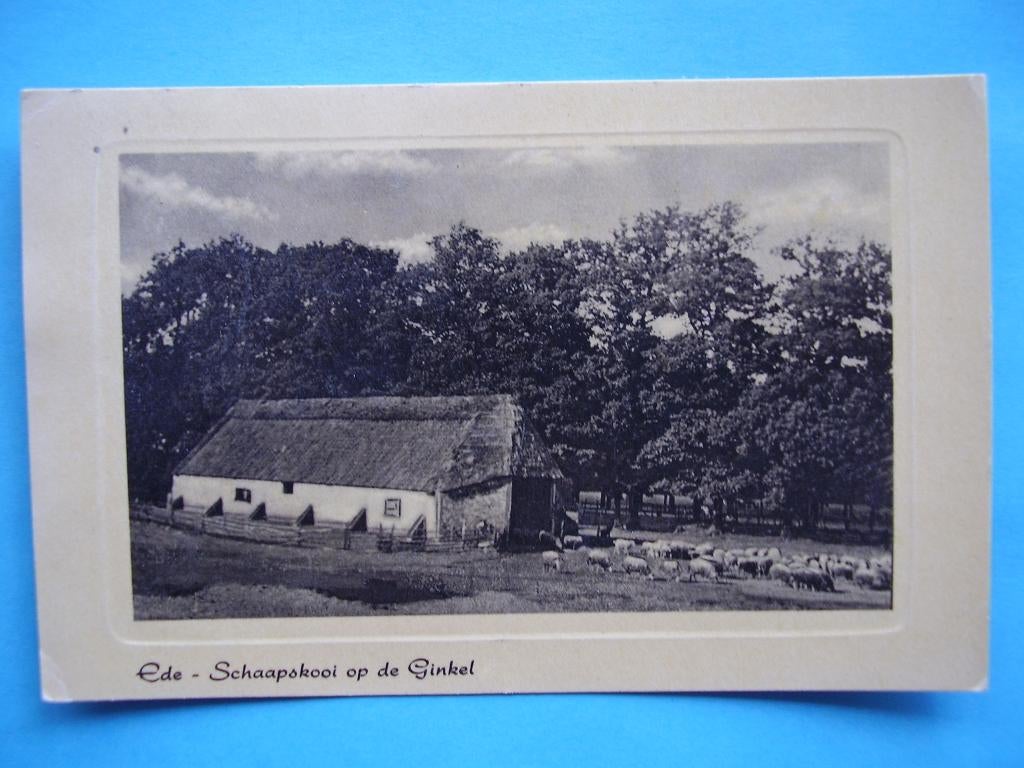 Ede,  Schaapskooi op de Ginkel, Ophalen of Verzenden, Voor 1920, Gelderland