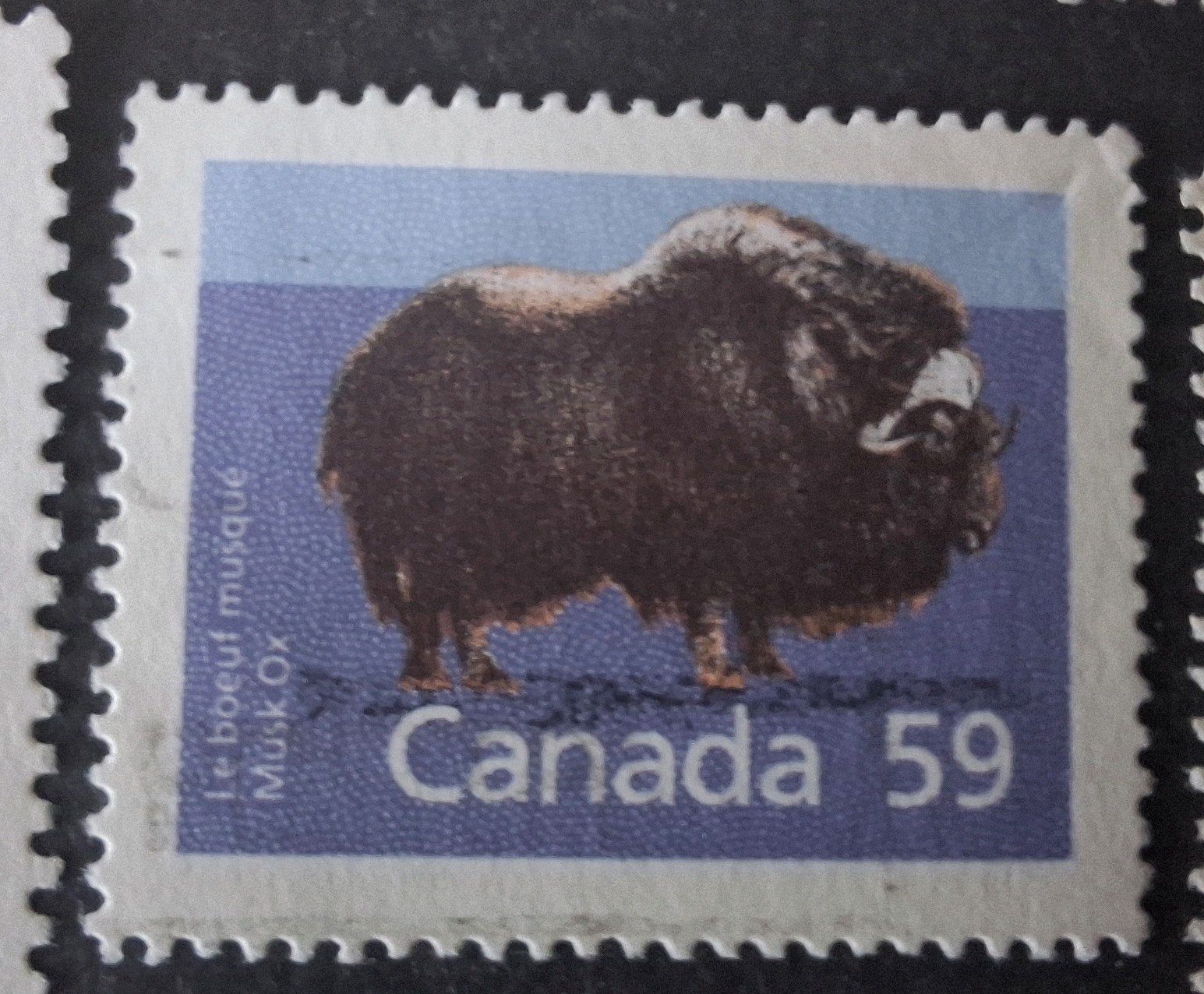 Canada 345 bizon, Ophalen of Verzenden, Noord-Amerika