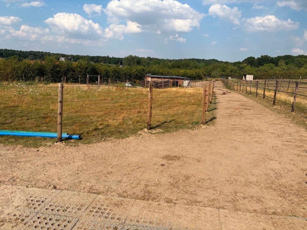 Weiland te huur voor paarden, Weidegang, 4 paarden of pony's of meer