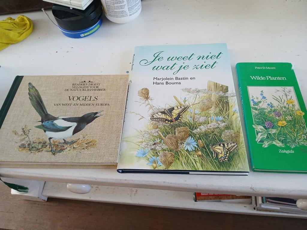 Marjolein  bastin boek, Boeken, Ophalen of Verzenden