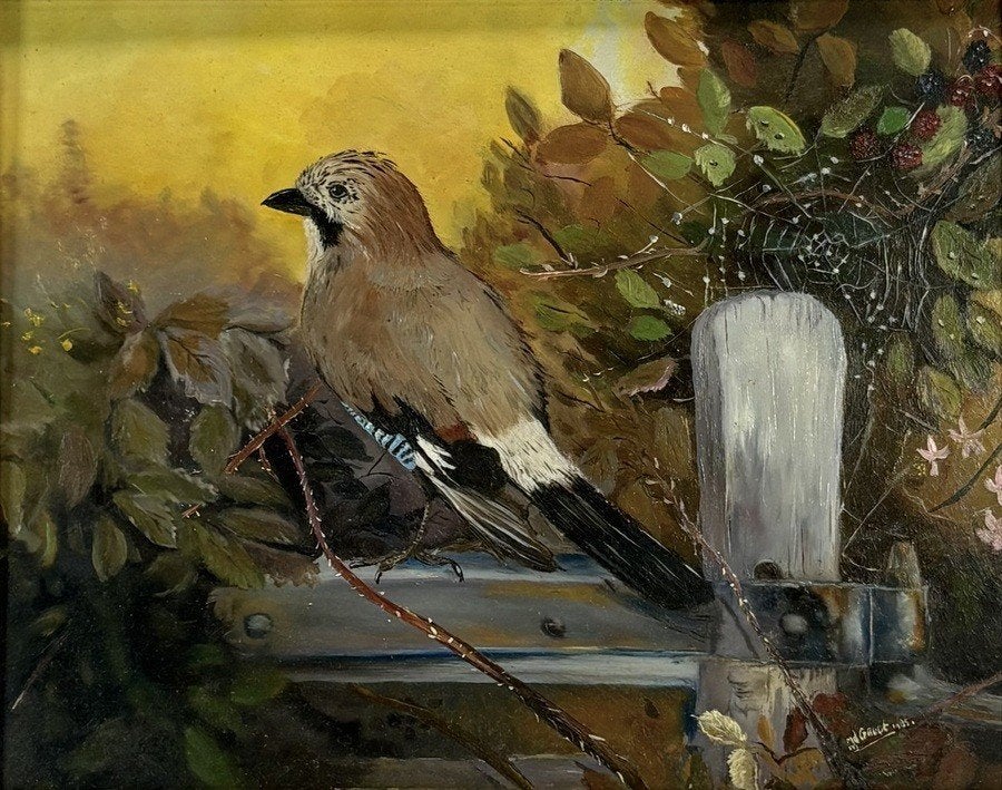167. Olieverfschilderij – Vlaamse gaai, 1985, Ophalen
