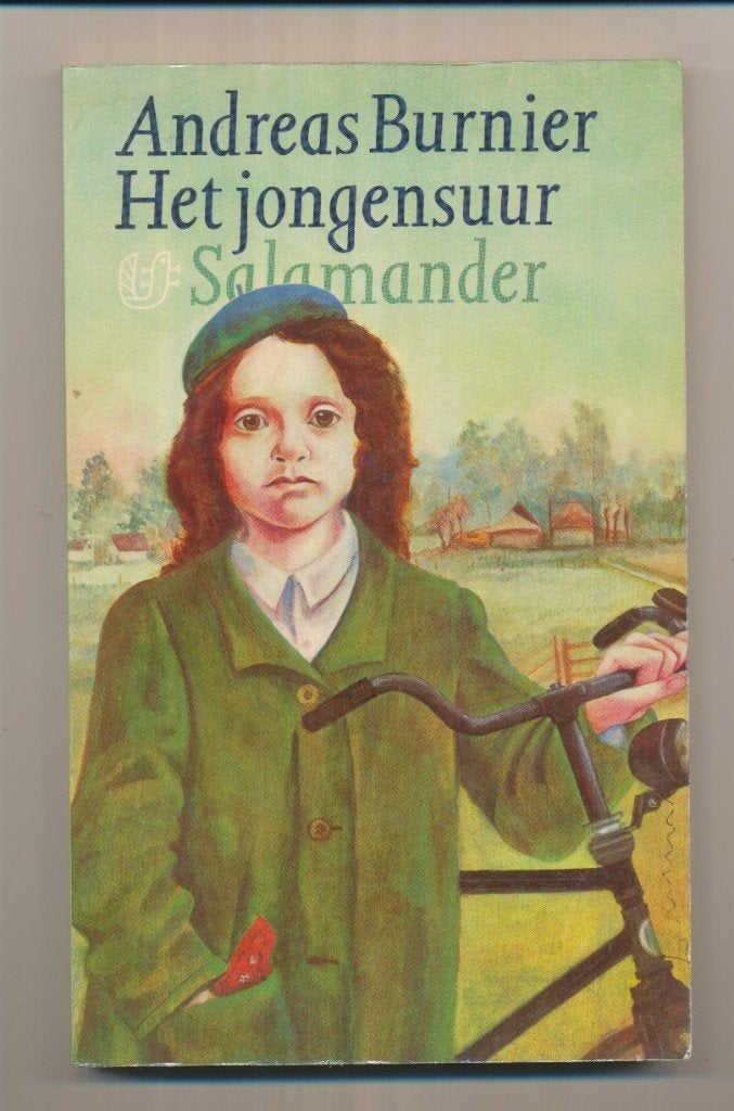 BURNIER, A: Het jongensuur, Boeken, Literatuur, Gelezen, Nederland, Ophalen of Verzenden