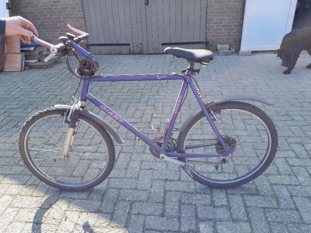 Mountainbike, Ophalen, Gebruikt, 57 cm of meer, Heren