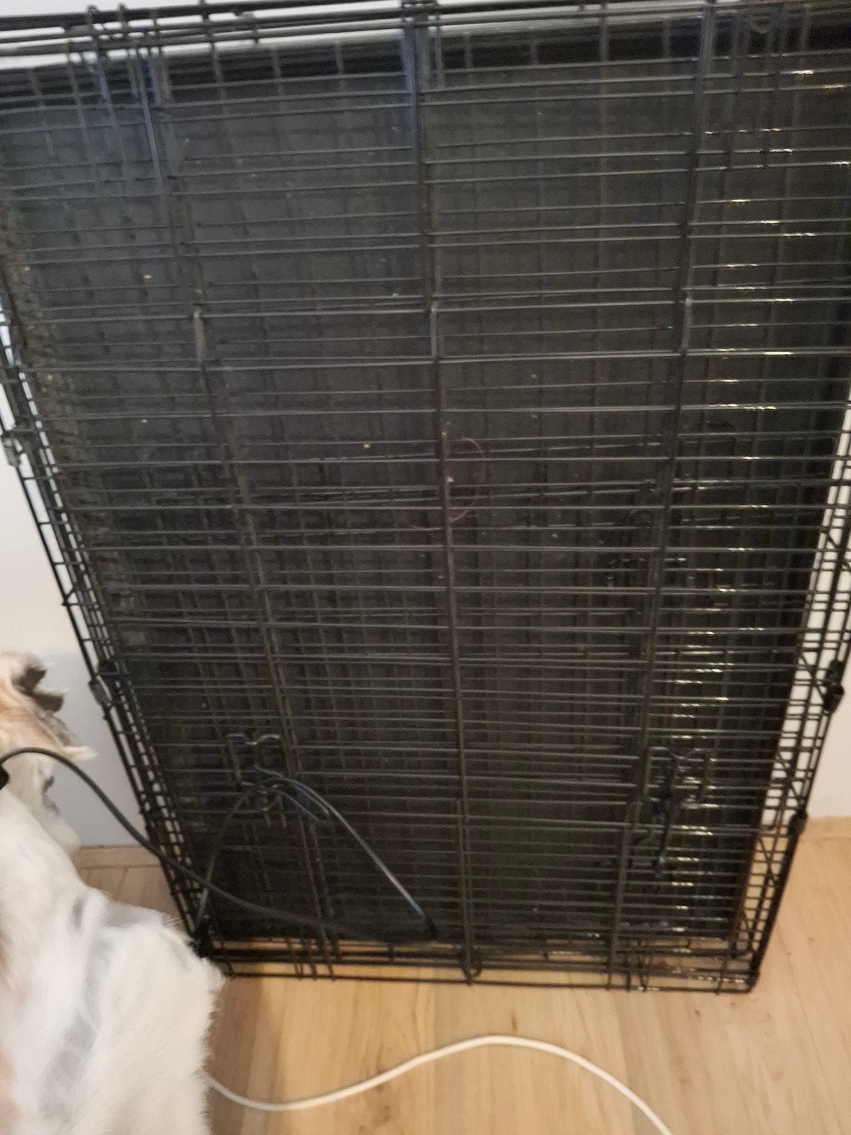 honden bench, Ophalen, Gebruikt