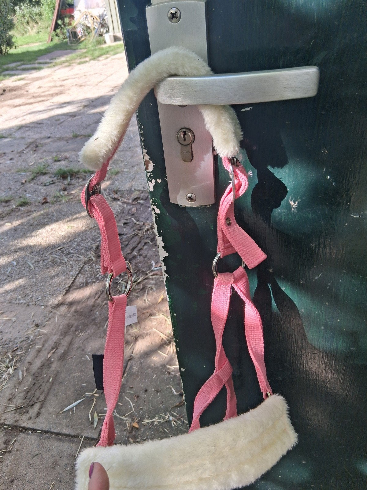Shetlander halster roze ongebruikt nieuw, Dieren en Toebehoren, Ophalen, Nieuw