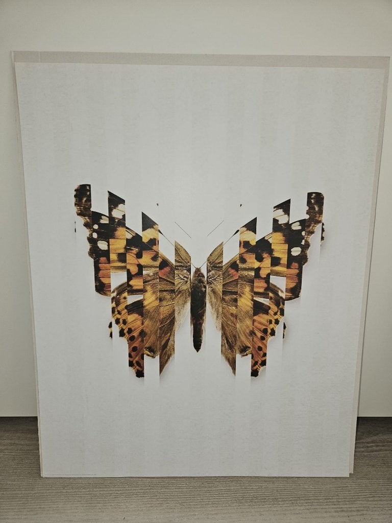 Ikea poster Vlinder Kunst Print 40x50cm nieuw, Ophalen, Rechthoekig Staand, Zo goed als nieuw, A1 t/m A3