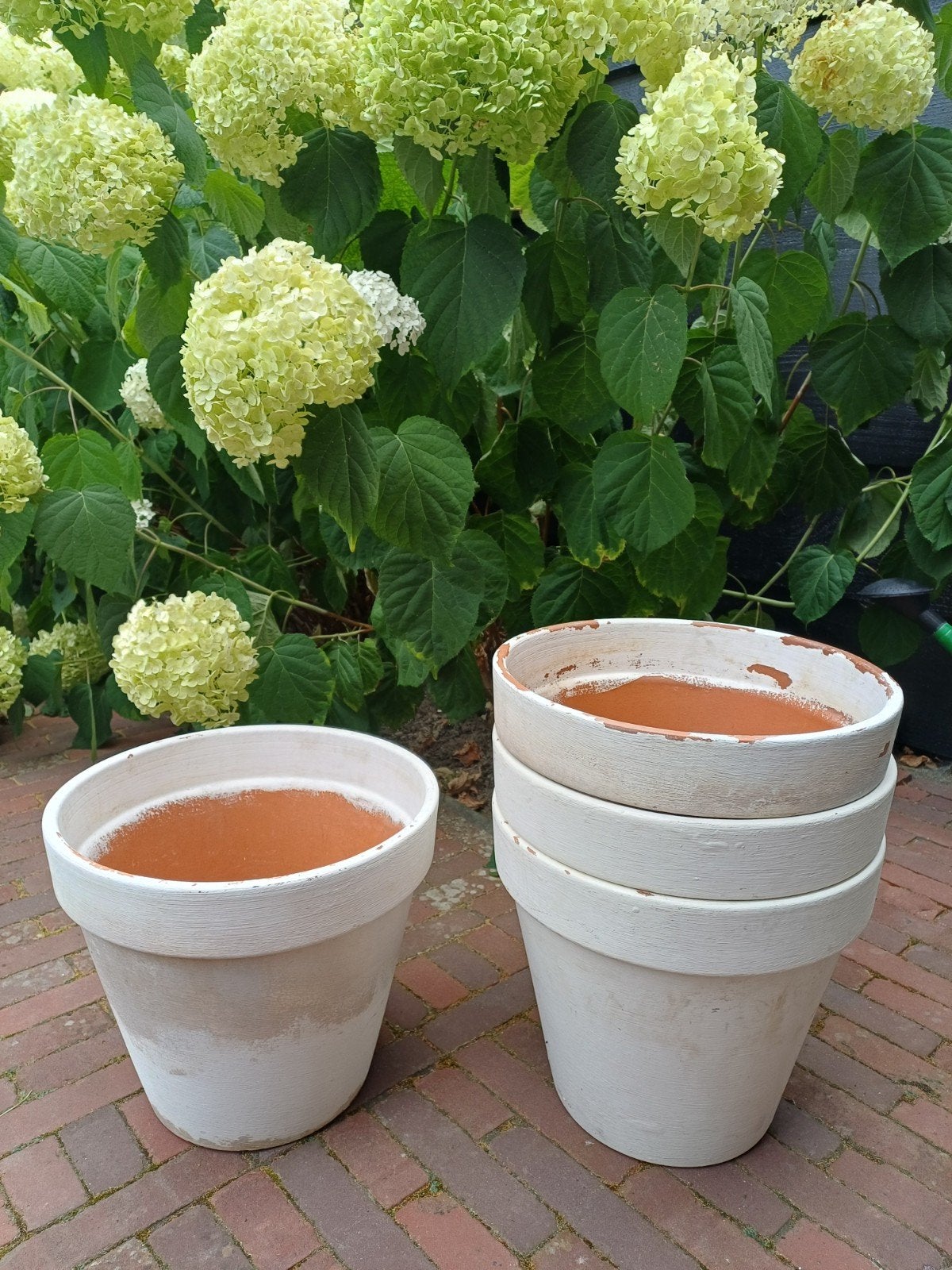 Terracotta potten, Ophalen of Verzenden, Rond, Minder dan 25 cm, Minder dan 40 cm