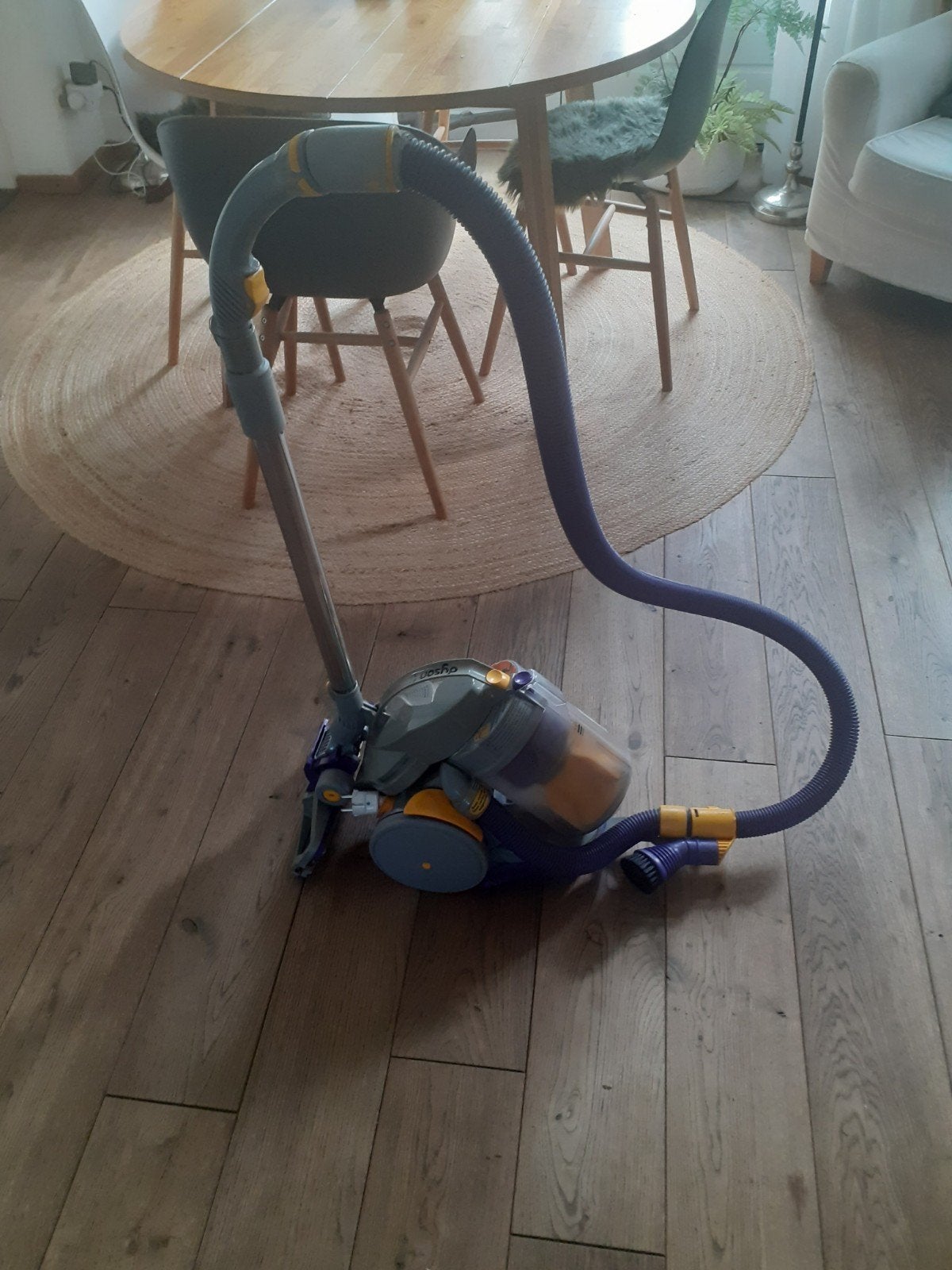 Dyson DC05 Absolute+ Stofzuiger - Krachtig en Compleet, Ophalen, Gebruikt, Dyson, Sledestofzuiger
