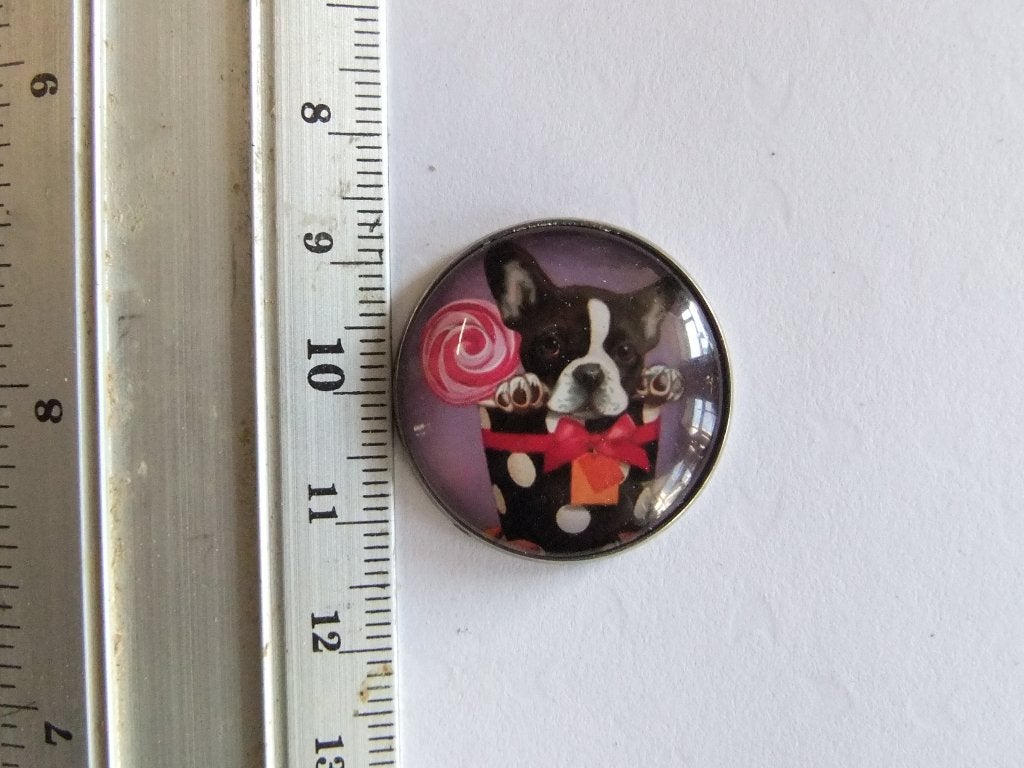 Leuke pin met Franse Bull dog met roos, Verzamelen, Speldjes, Pins en Buttons, Ophalen of Verzenden, Nieuw, Dier of Natuur, Speldje of Pin
