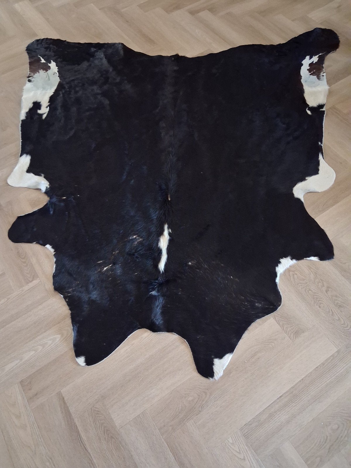 Groot zwart-wit koeienhuid vloerkleed, Gebruikt, 150 tot 200 cm, 200 cm of meer, Ophalen of Verzenden