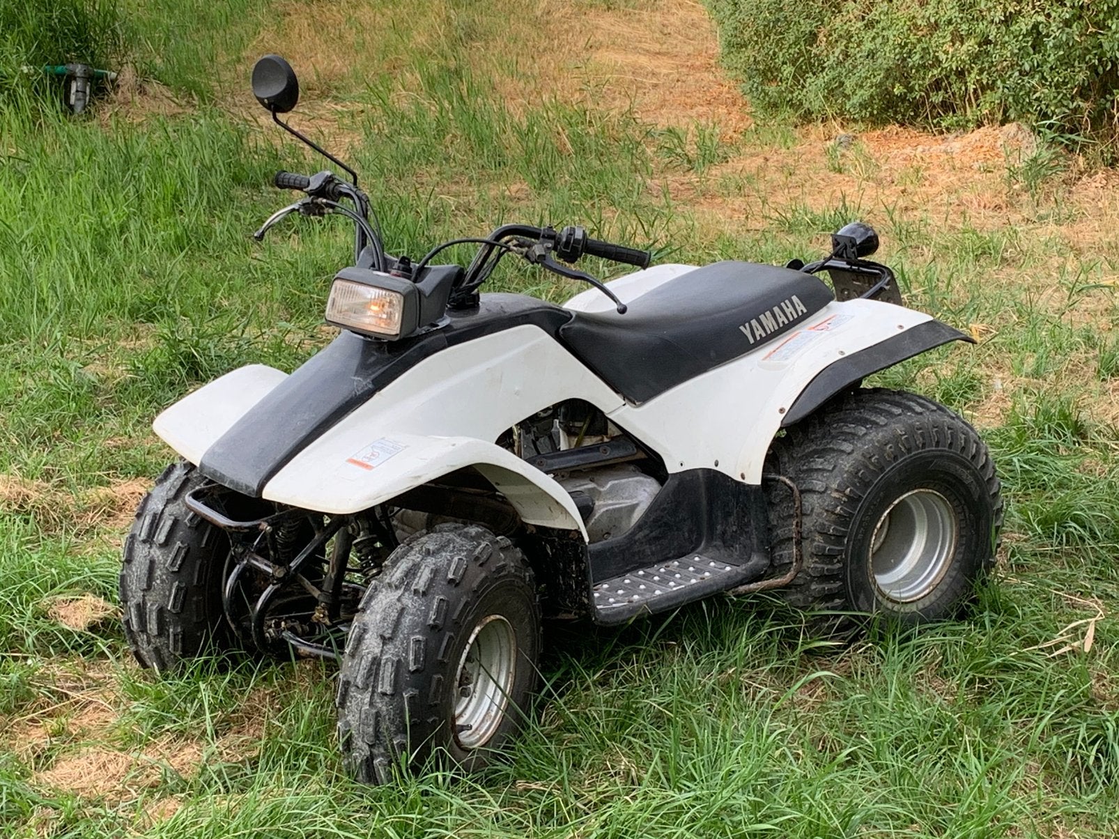 Quad Yamaha Brieze 125cc, Motoren, Quads en Trikes, 1 cilinder, 125 cc