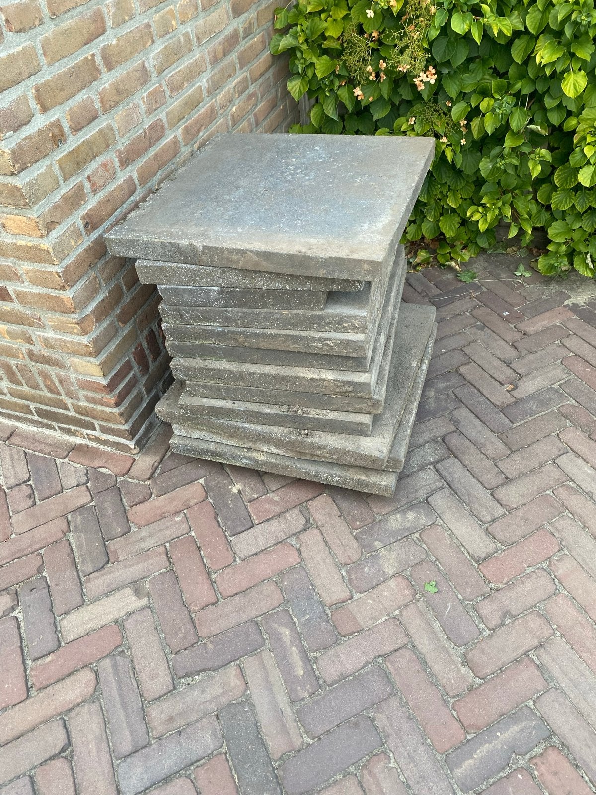 Gratis tuintegels 50x50 cm, Doe-het-zelf en Verbouw, Tegels, Ophalen, 40 tot 60 cm, Gebruikt, 40 tot 60 cm