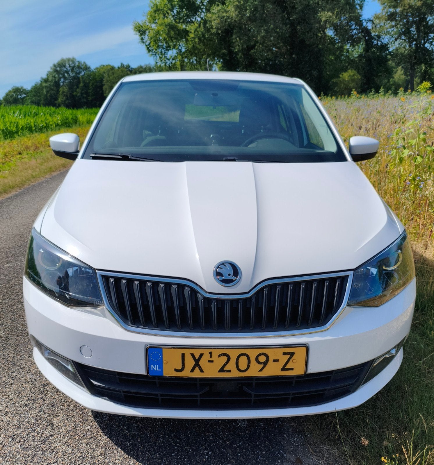 Skoda Fabia 1.2 TSI 66KW 2016 Wit, Voorwielaandrijving, 40 €/maand, 4 cilinders, Wit