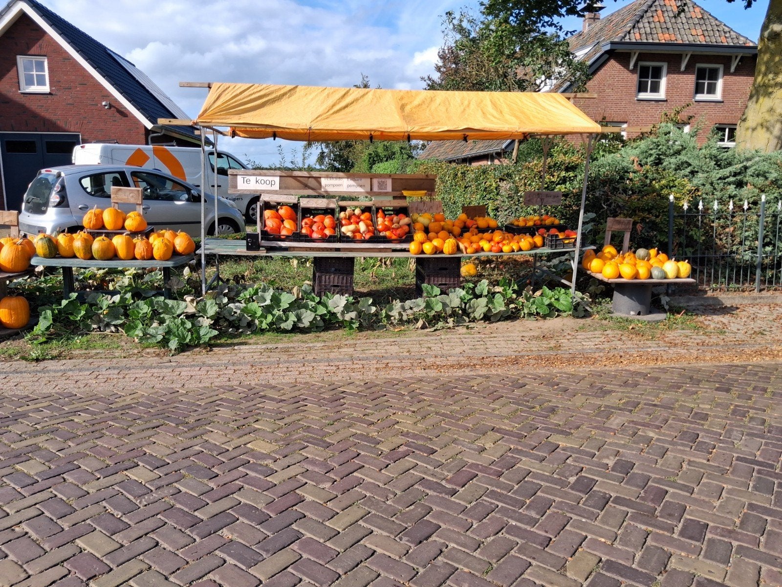 Halloween pompoenen., Ophalen, Nieuw, Versiering, Halloween of Griezel