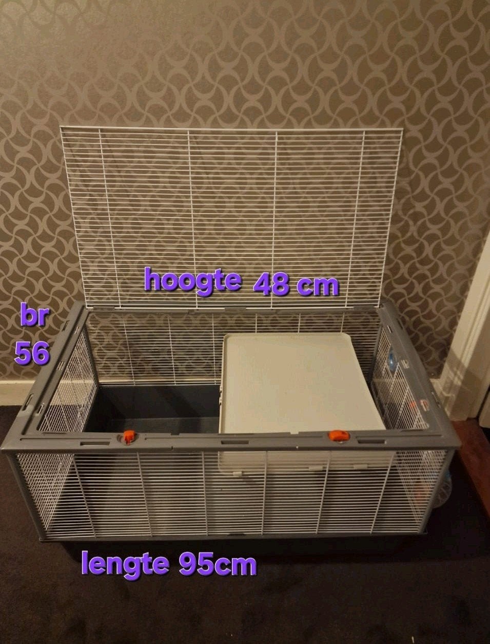 Hamsterkooi / Rattenkooi, Januari, Meerdere dieren, Hamster