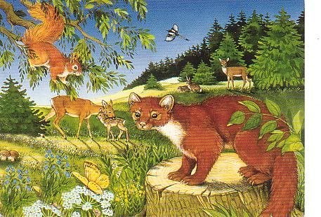 Ansichtkaart 	Dieren	Hermelijn	Eekhoorn	Herten, Verzamelen, Verzenden, 1960 tot 1980, Ongelopen, Wild dier