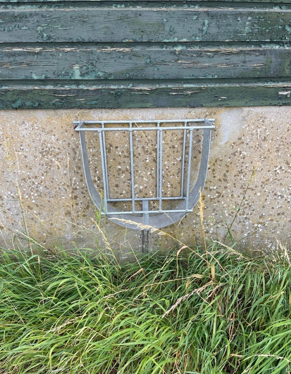 Hooi ruif, Dieren en Toebehoren, Ophalen