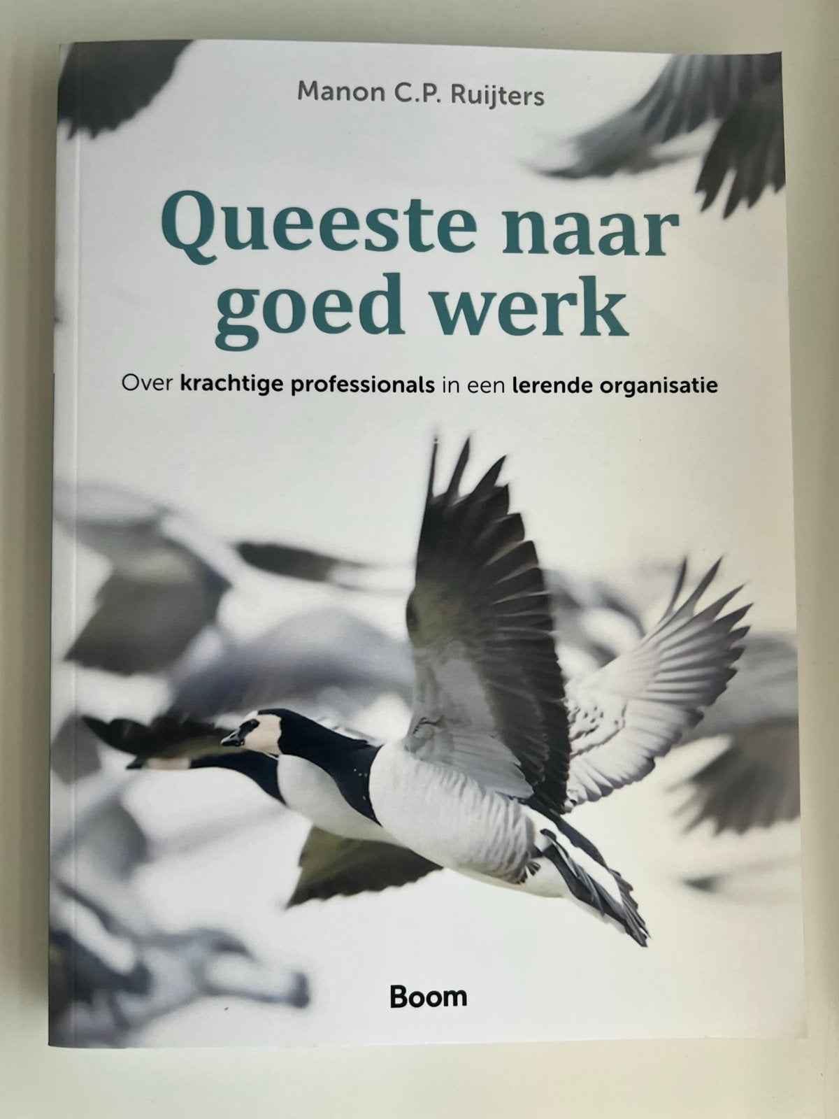 Queeste naar goed werk - Manon C.P. Ruijters, Ophalen of Verzenden, Zo goed als nieuw